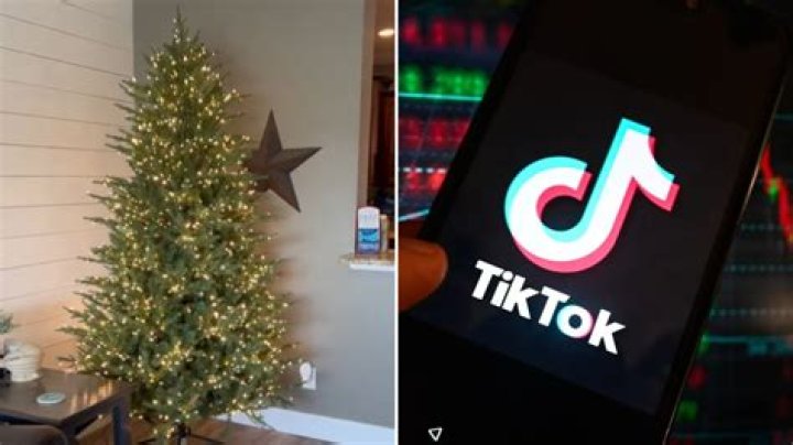‘It is worth the buy’: The viral TikTok Christmas tree, explained