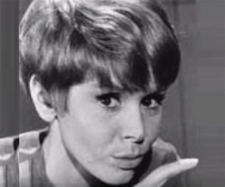 Judy Carne Biography - Facts, Childhood, Family Life & Achievements