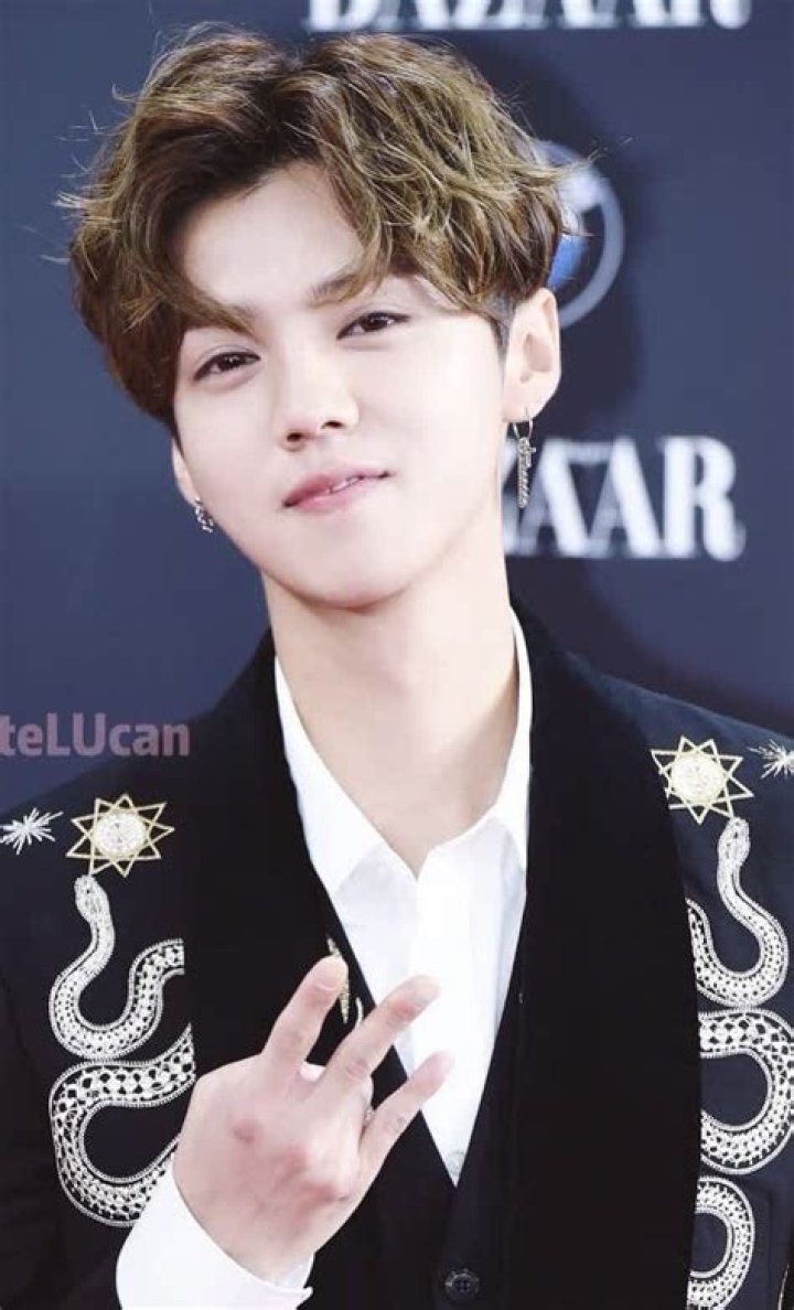 Lu Han Biography
