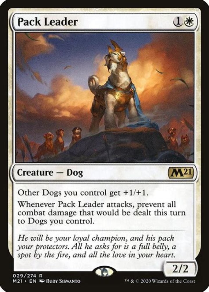 Magic: The Gathering Let The Dogs Out In Core 2021, And They’re Adorable