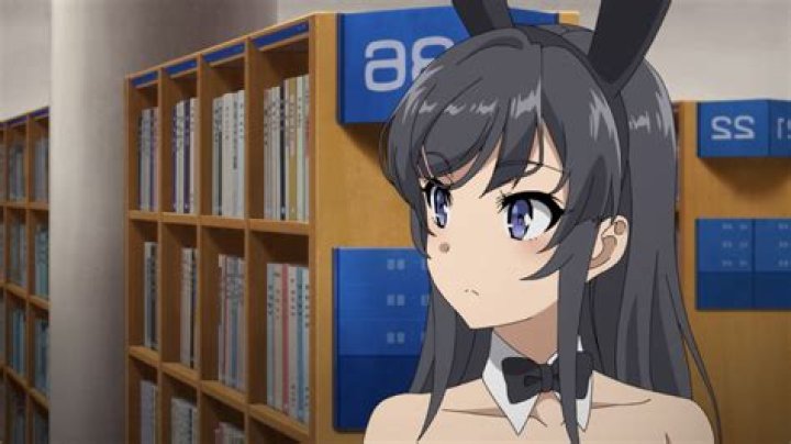 Mai Sakurajima Bunny Girl Senpai