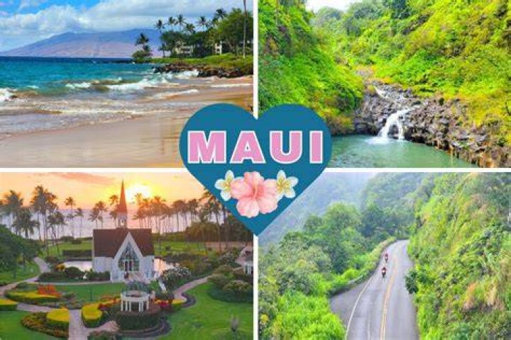 Maui from "You're Welcome" Music Video
