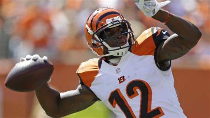 Mohamed Sanu