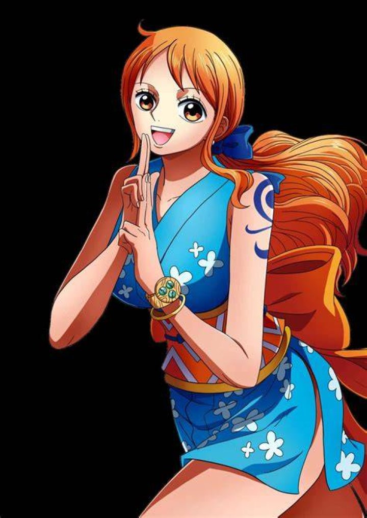 Nami One Piece anime