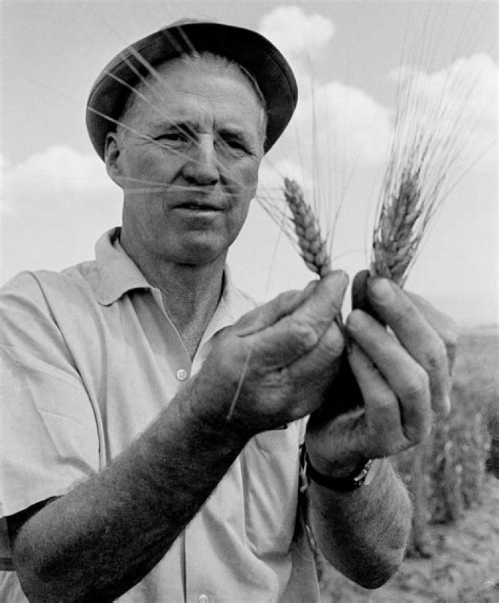 Norman Borlaug Norman Borlaug