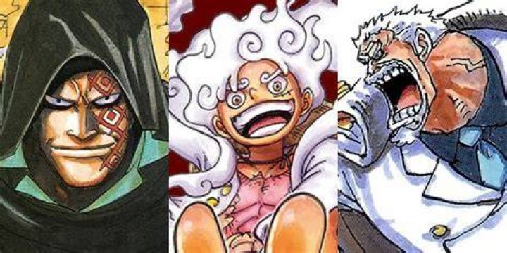 One Piece Monkey D. Family