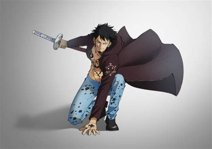 One Piece Trafalgar Law and Edward Low