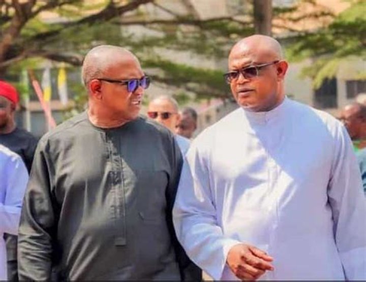 Peter Obi siblings: Bibiana Adani, Ndibe Obi, Fabian Obi, Martina Obi