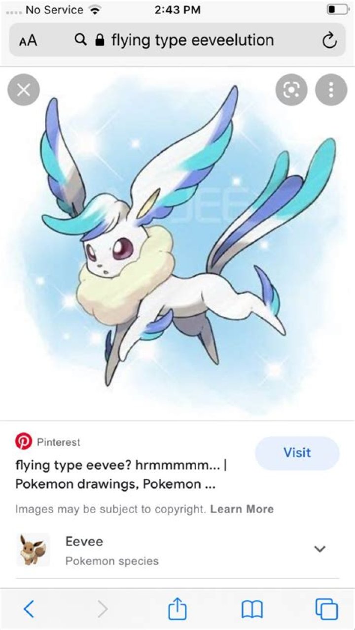 Pokémon fan imagines what a flying-type Eeveelution could look like