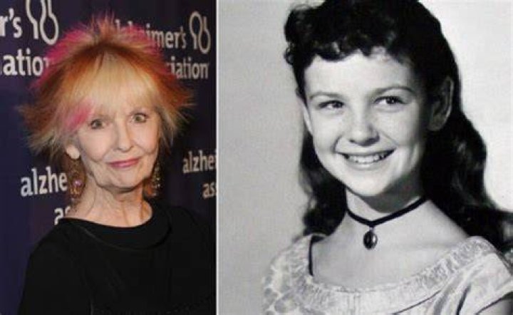 Shelley Fabares Biography - Facts, Childhood, Family Life & Achievements