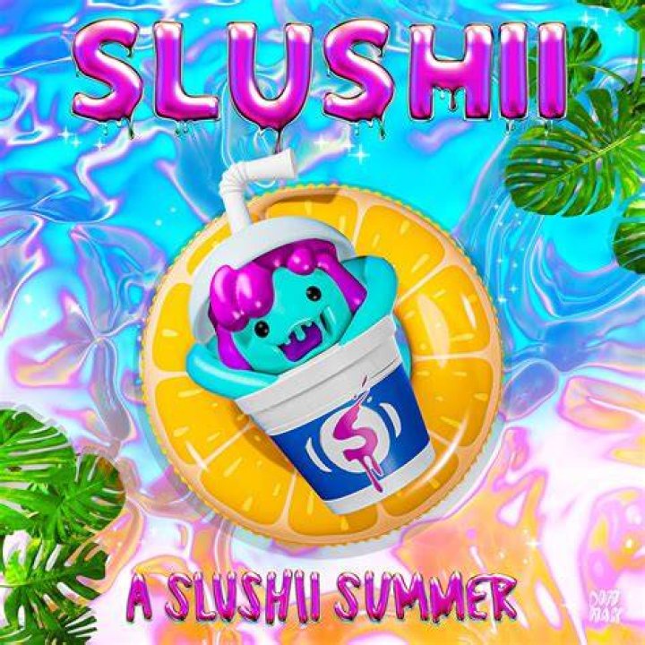 slushii-stoked