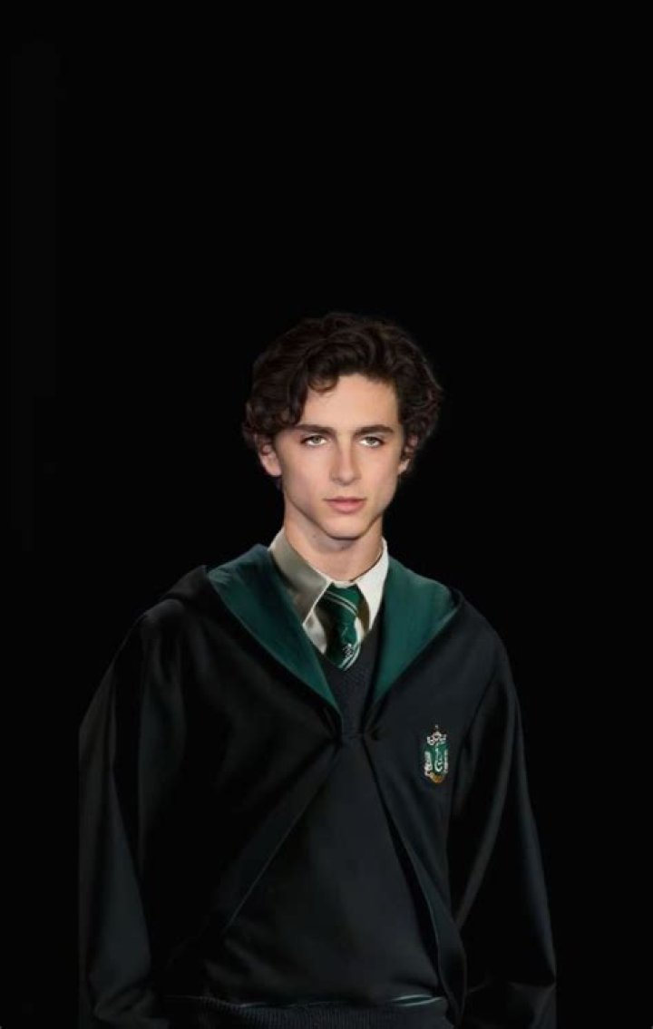 Slytherin Is Trending Because Of Timothée Chalamet