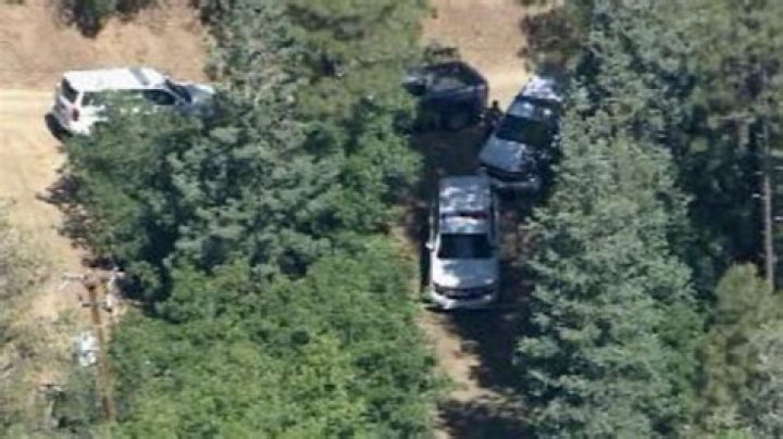 Steven Jackson killed in ‘highly unusual’ bear attack; bear shot dead by neighbor