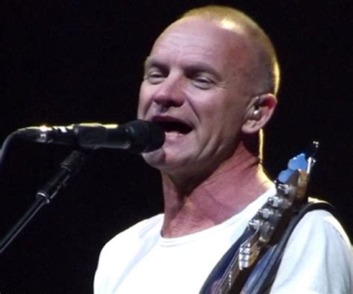 Sting Biography - Facts, Childhood, Family Life & Achievements of English Musician & Singer