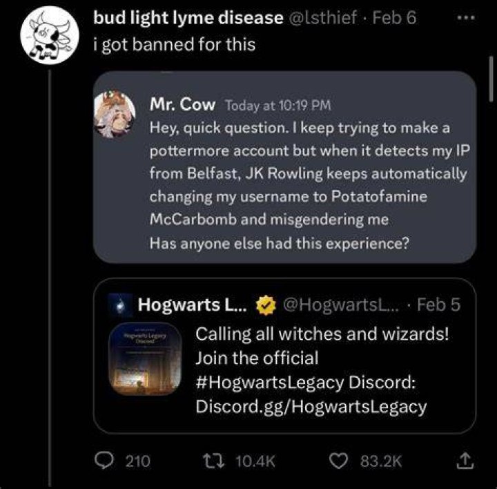 Suggestions to raid ‘Hogwarts Legacy’ official Discord run rampant on Twitter