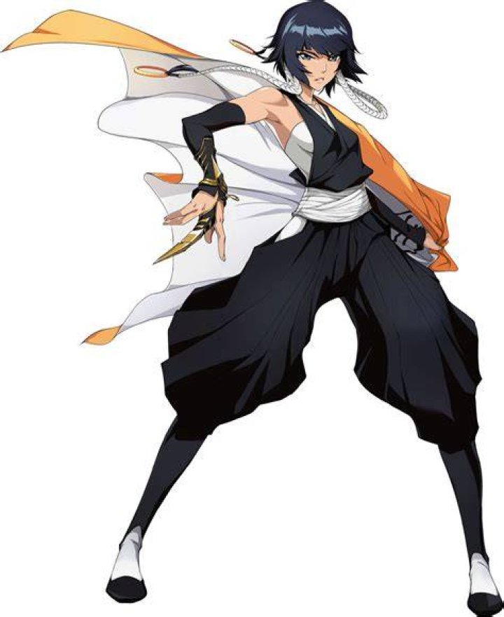 Suì-Feng in part 2, episode 2 of Bleach: Thousand-Year Blood War.