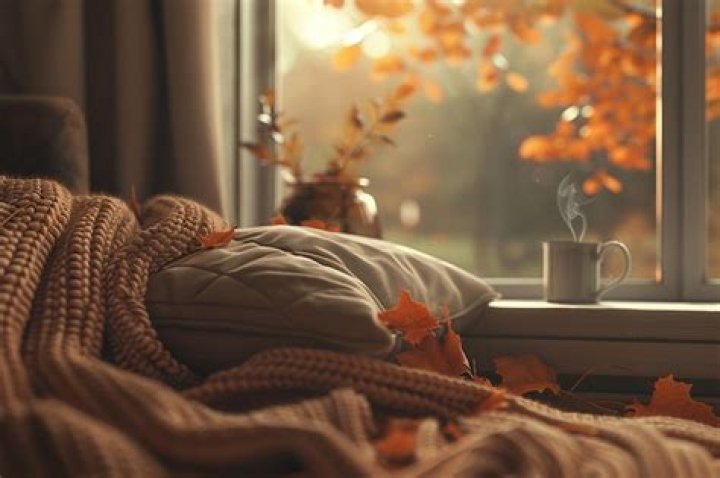 The 14 best fall episodes and shows for cozy sweater weather