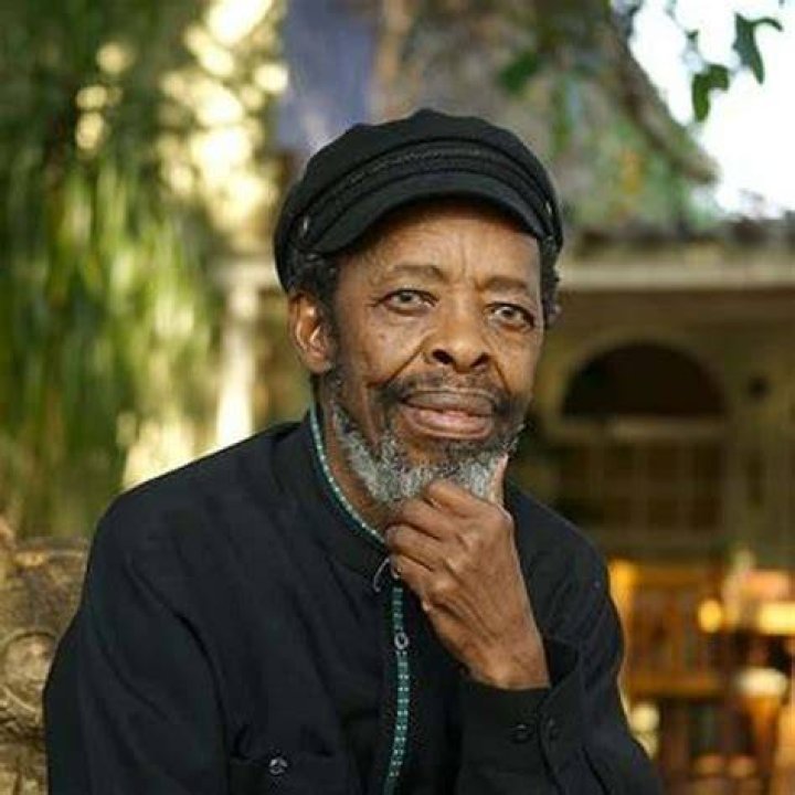 The Greatest South African Writers