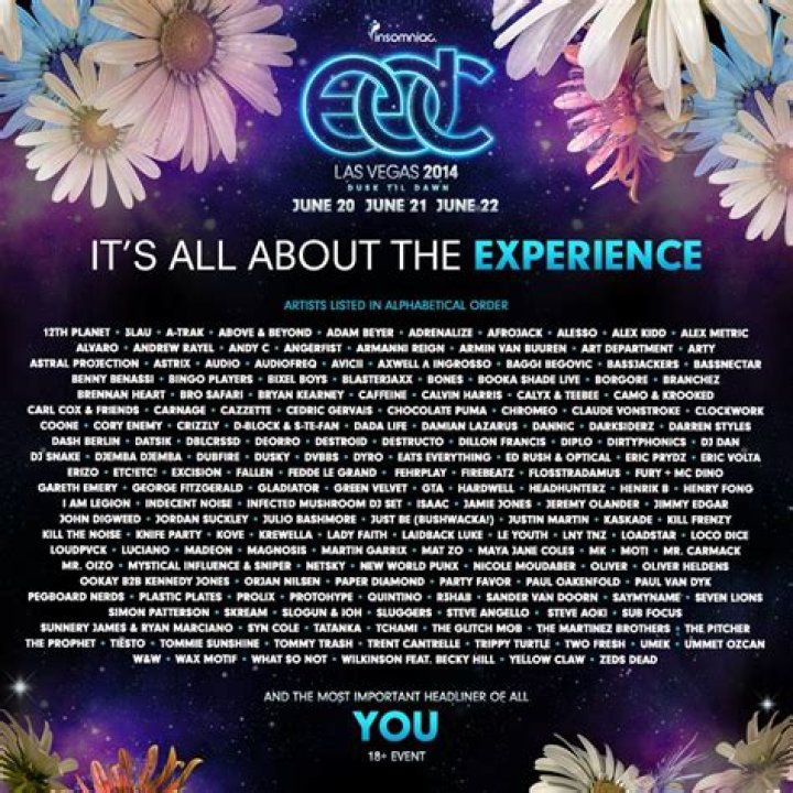 The Numbers Are In For EDC Las Vegas 2014