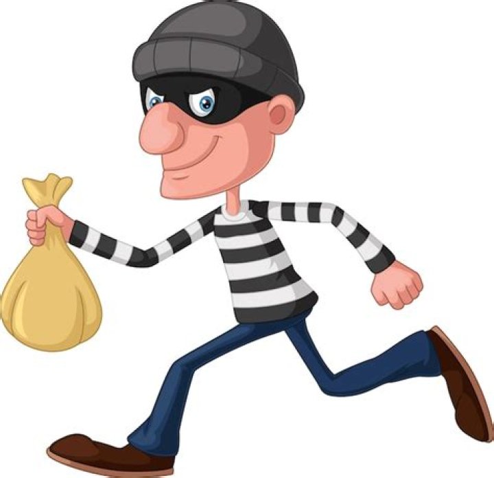 Thief
