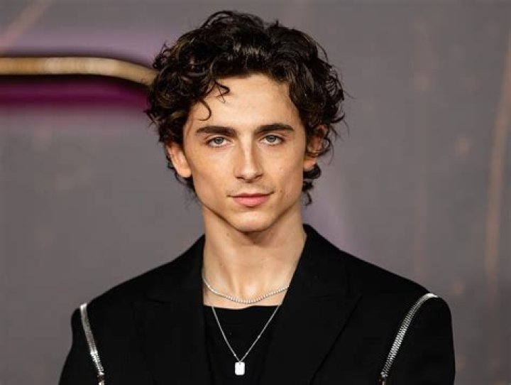 Timoth&eacute;e Chalamet Biography