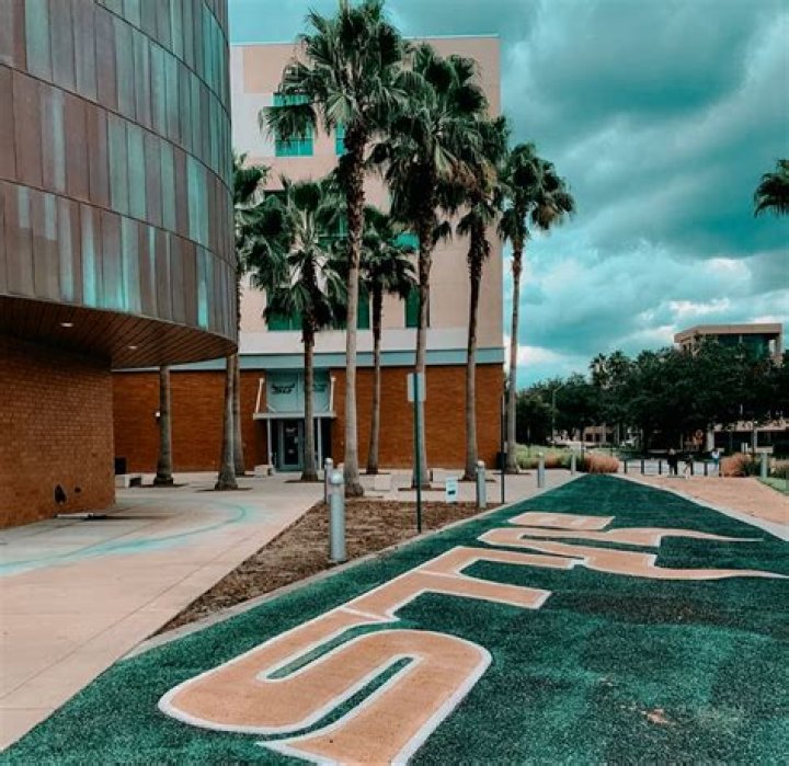 University of South Florida College of Medicine