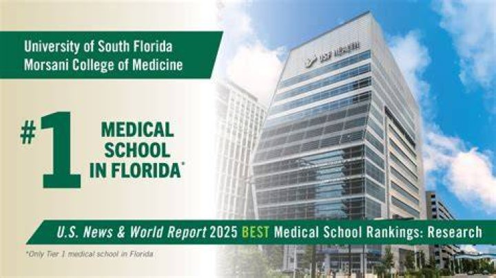 University of South Florida Morsani