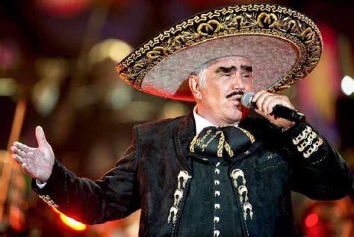 Vicente Fern&aacute;ndez