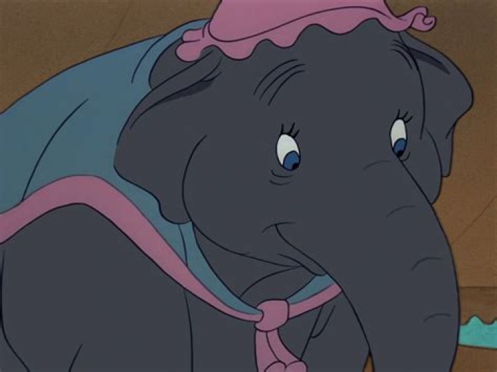 Was Dumbo’s mom killed? – Celebrity