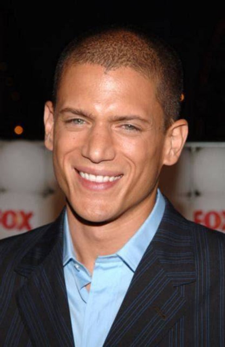 Wentworth Miller Biography