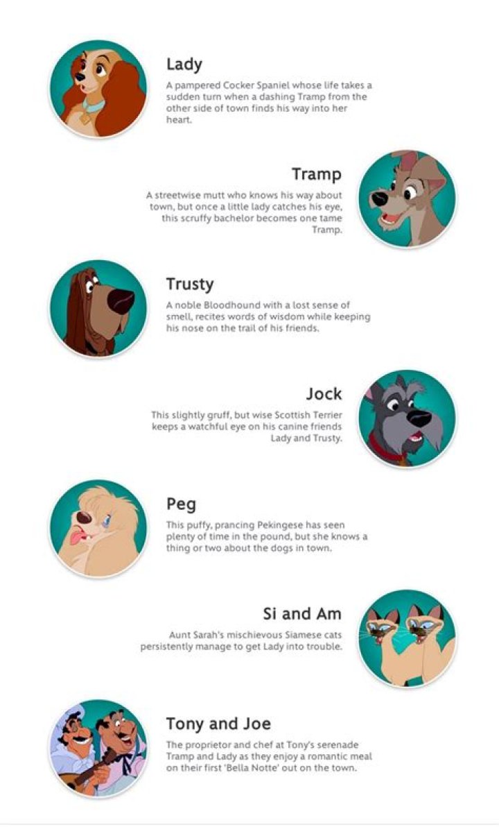 What are the names of the dogs in Lady and the Tramp 2? – Celebrity