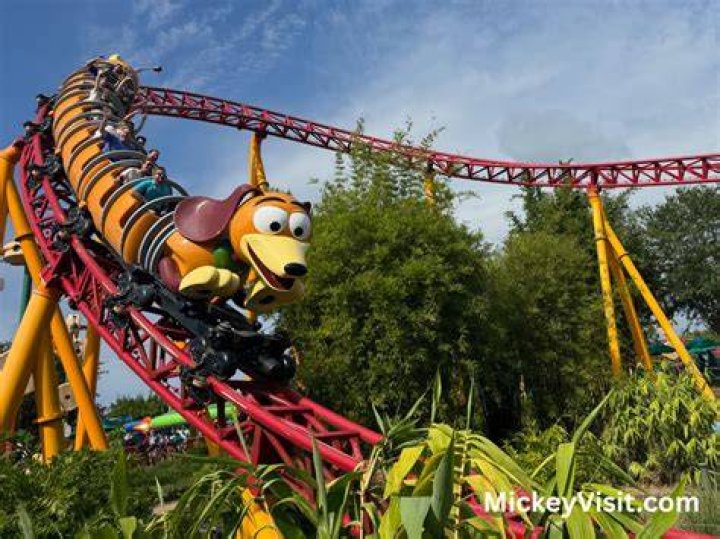 What are the three most popular rides at Disney World? – Celebrity