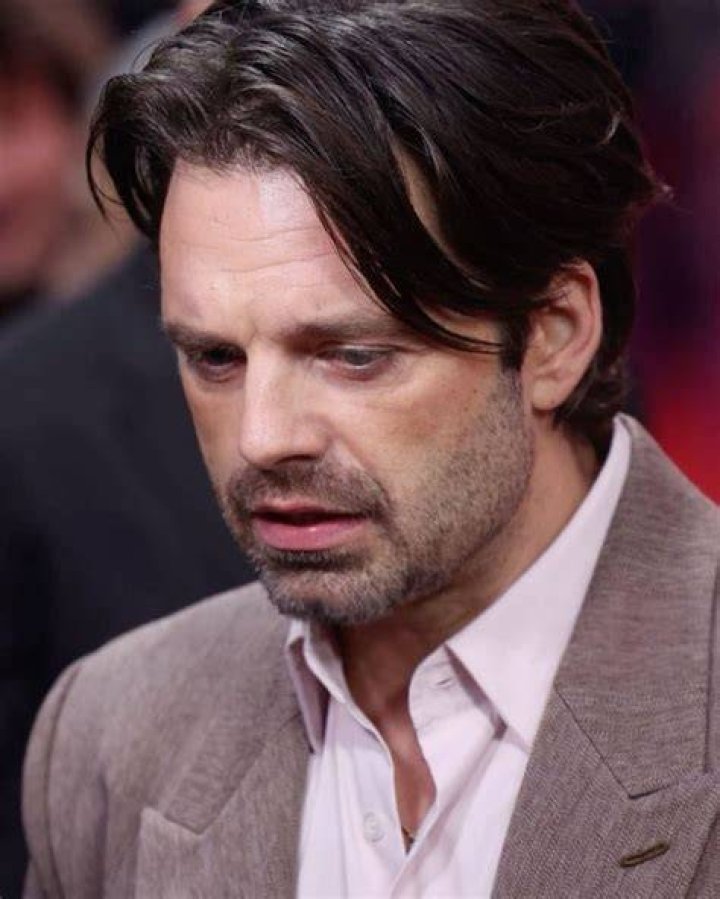 What ethnicity is Sebastian Stan? – Celebrity