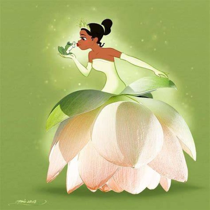 What flower is in Princess and the Frog? – Celebrity
