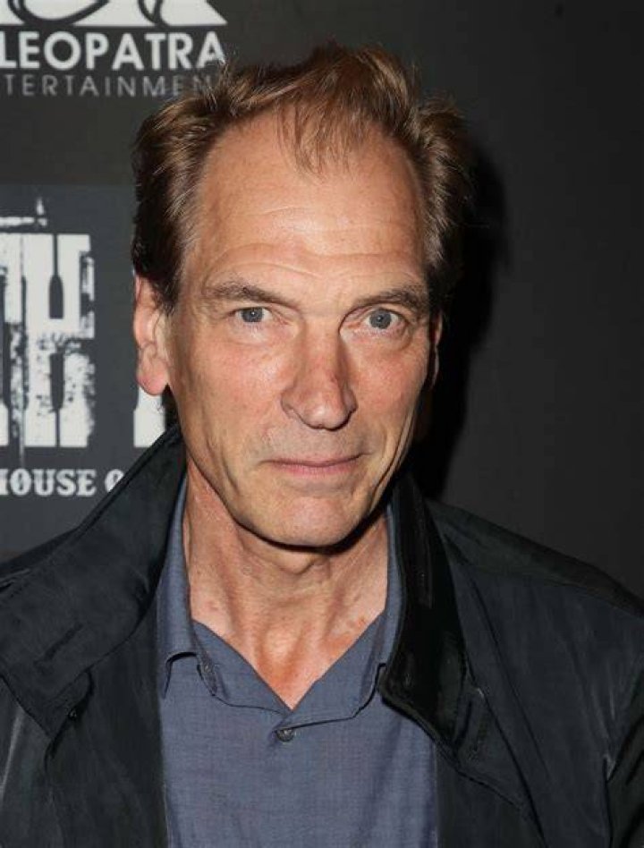 What happened to British actor Julian Sands?