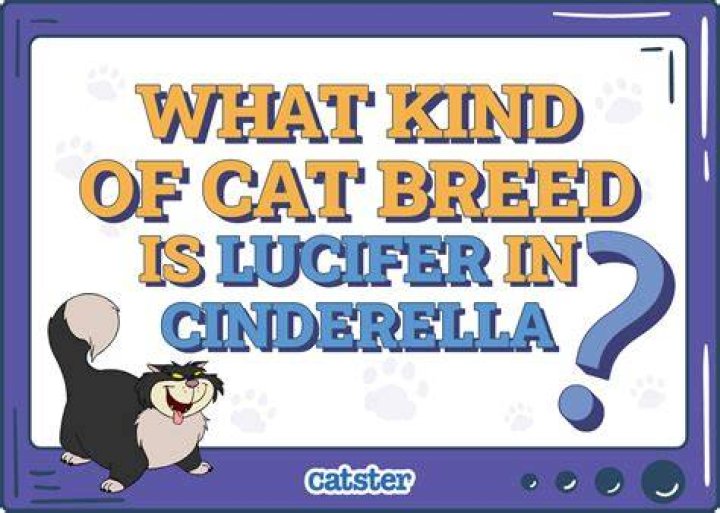 What is Cinderella’s cats name? – Celebrity