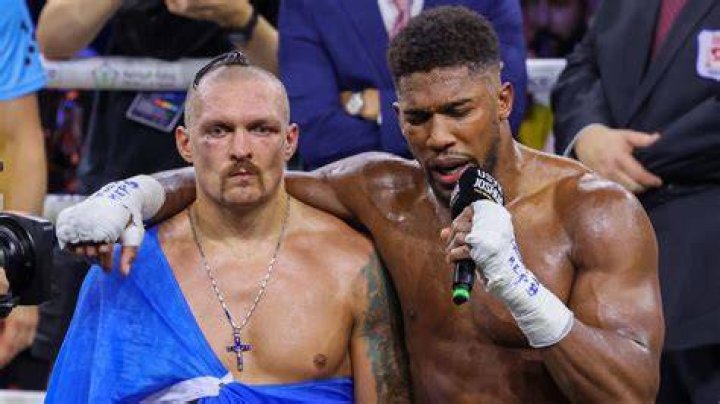 What is Oleksandr Usyk's next fight after Anthony Joshua?