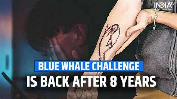 What is the Blue Whale challenge on TikTok?