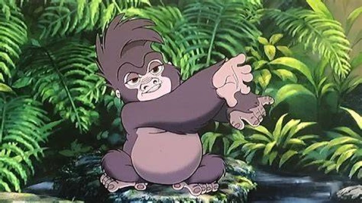 What is the gorilla’s name in Tarzan? – Celebrity