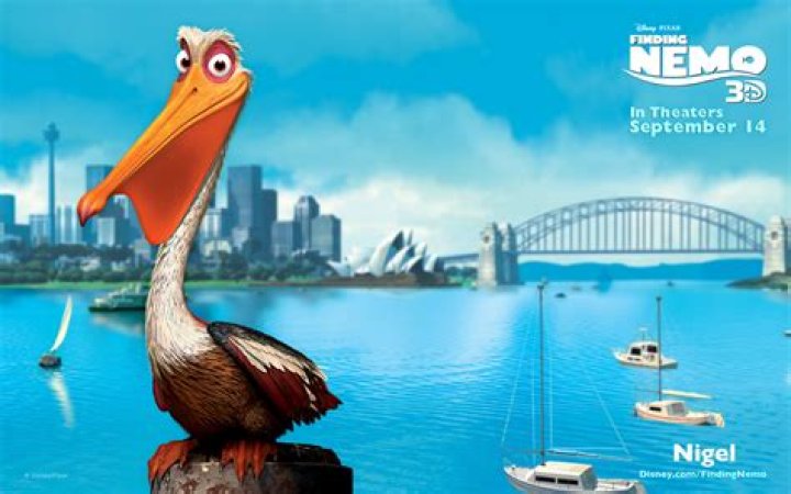 What kind of bird is Nigel in Finding Nemo? – Celebrity