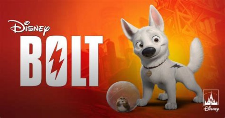What kind of dog is Bolt? – Celebrity
