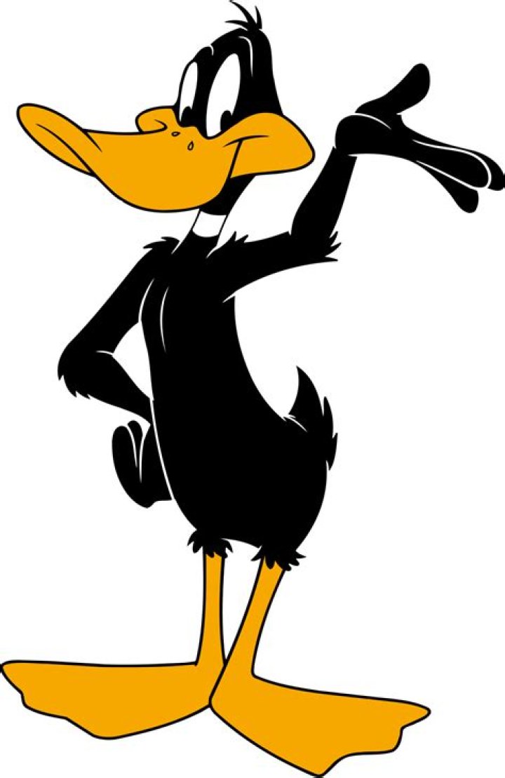 What kind of Duck is Daffy Duck? – Celebrity