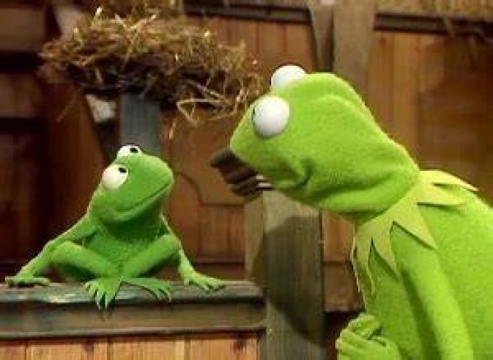 What’s Kermit’s nephews name? – Celebrity
