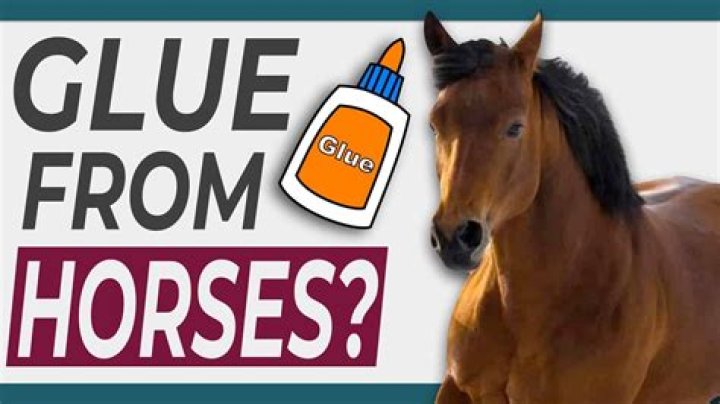 What turned into horses in Cinderella?