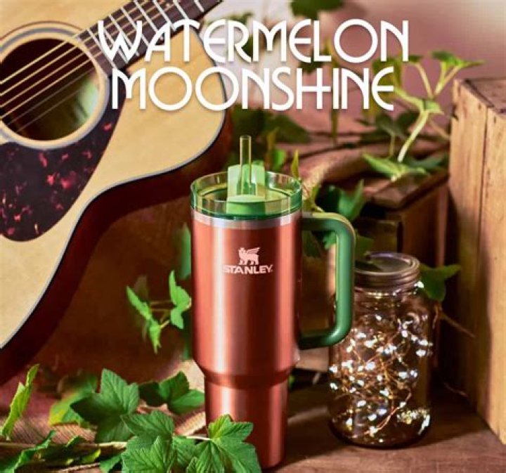 What was Lainey Wilson’s ‘Watermelon Moonshine’ collaboration with Stanley?