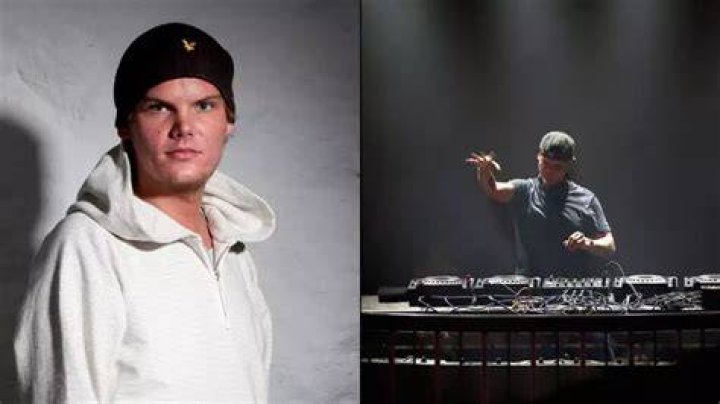 What were Avicii’s final words before his suicide?