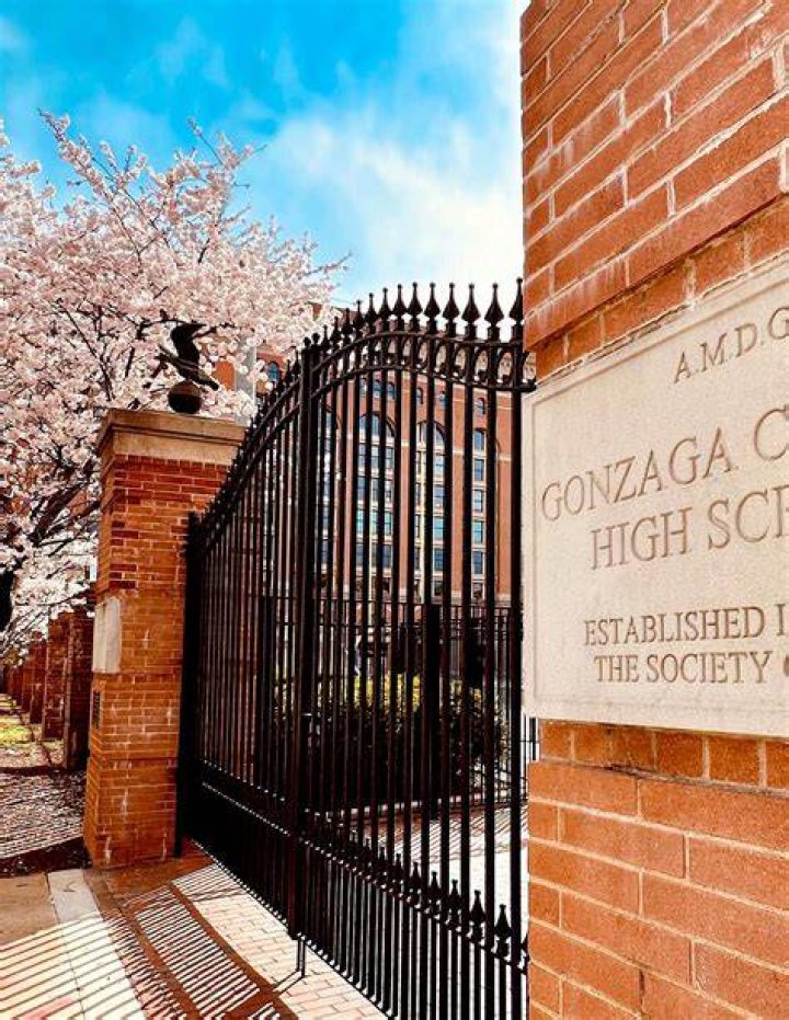 Where did Estanislao Goya go to college and high school?