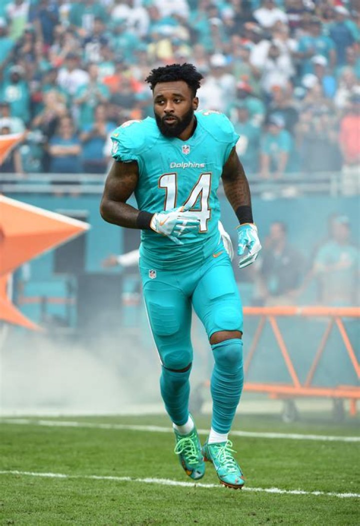 Where did Jarvis Landry go to college? Did Jarvis Landry play college football?