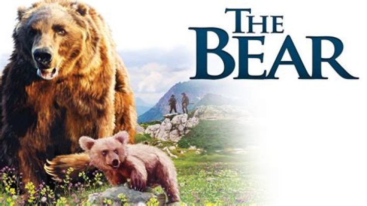 Where did they film the bear? – Celebrity