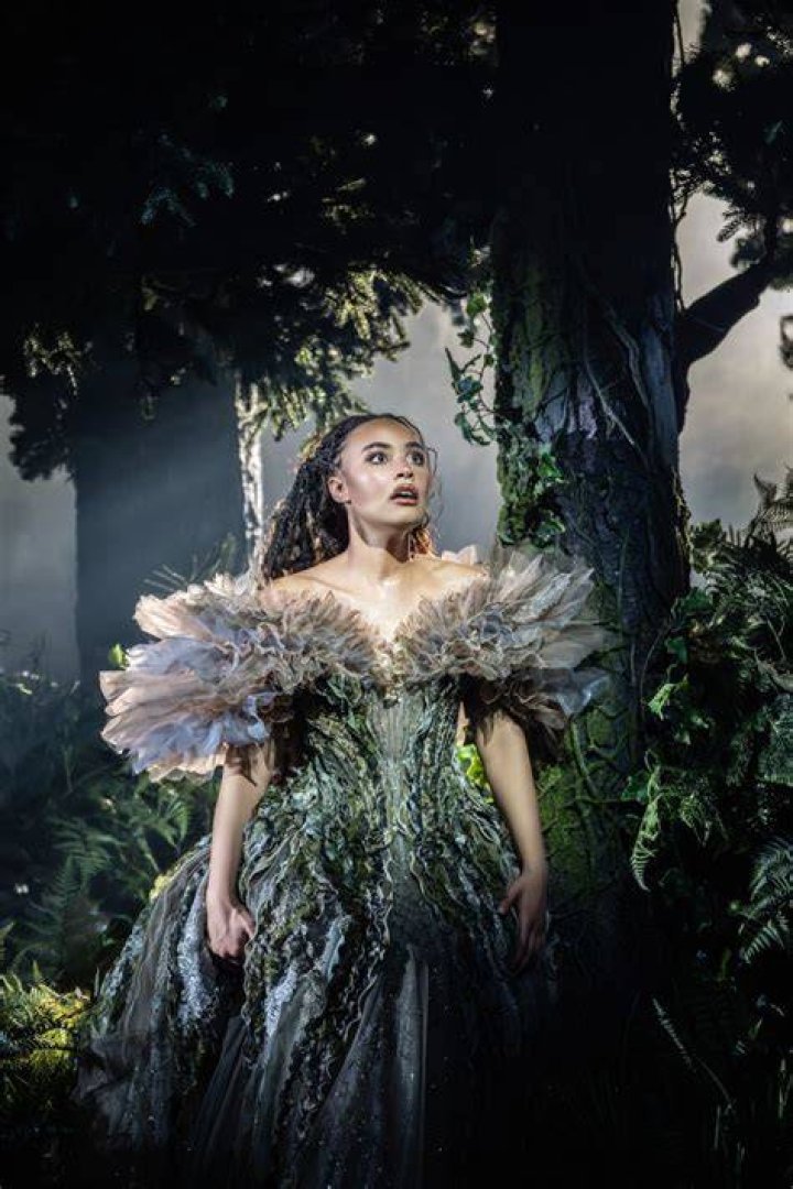 Who does Cinderella end up with in Into the Woods? – Celebrity